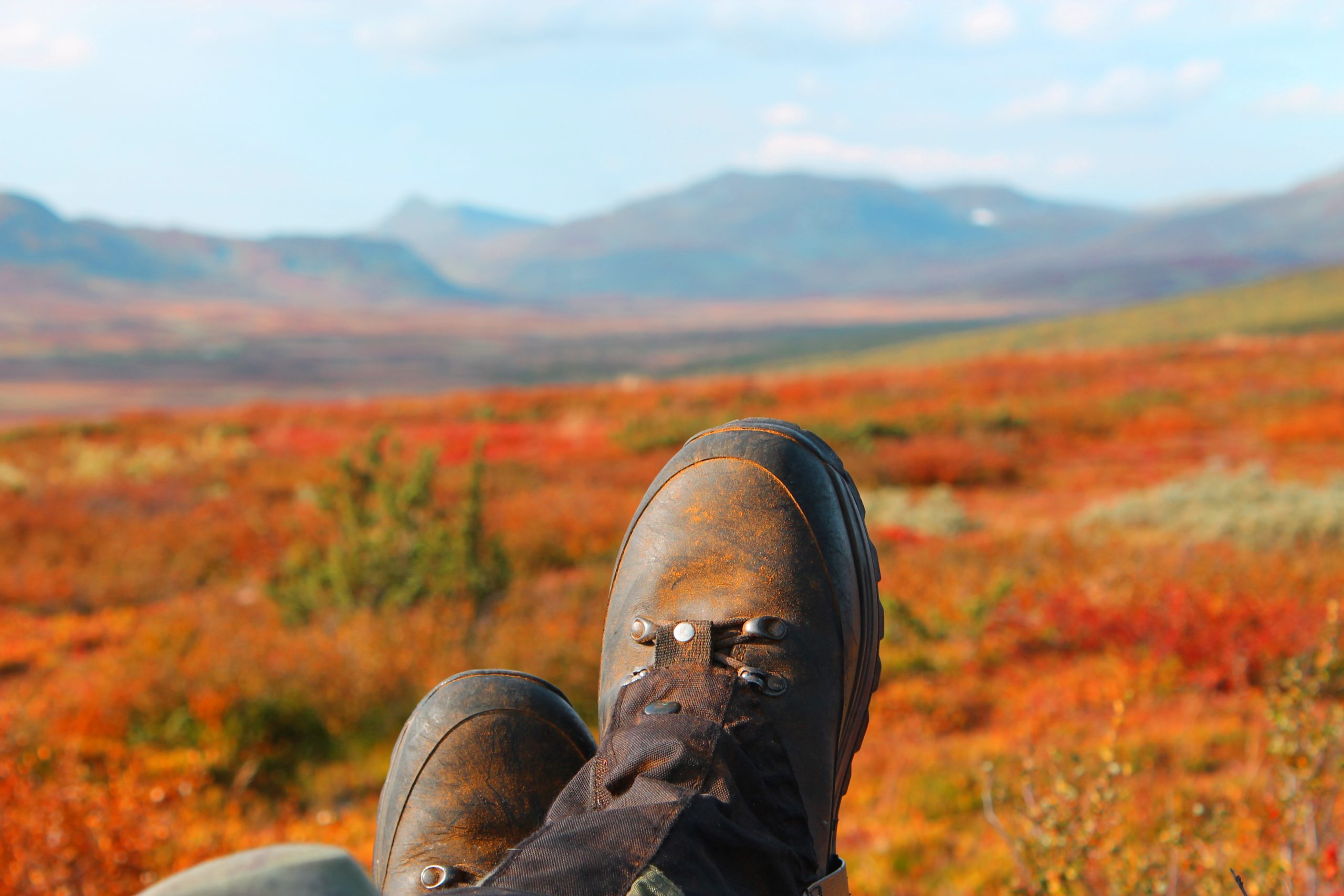 Wilderness Guide - Guide Academy Europe