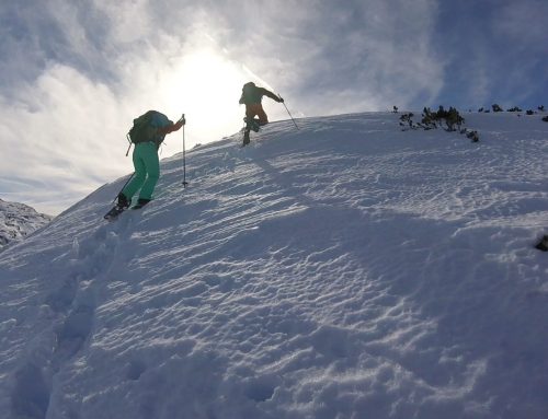 Guide-Academy-Europe Winter im Gebirge